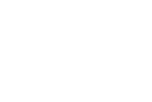 echo box logo